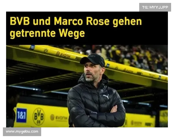 德甲主帅战术布局解析 盘点新赛季教练变动与球队未来走势 德甲主帅战术布局解析 盘点新赛季教练变动与球队未来走势